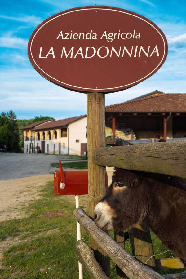 La Madonnina Agriturismo Dore Άλμπα Εξωτερικό φωτογραφία
